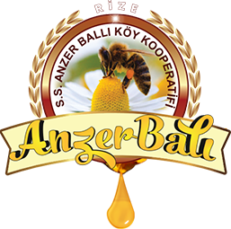 anzer bali logo.png (93 KB)
