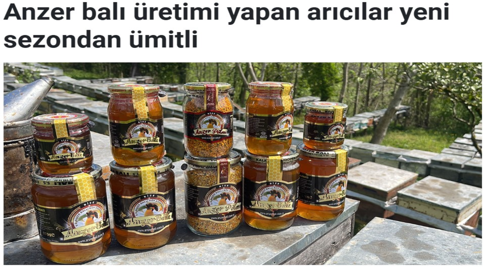 ANZER BALI KOOPERATİF