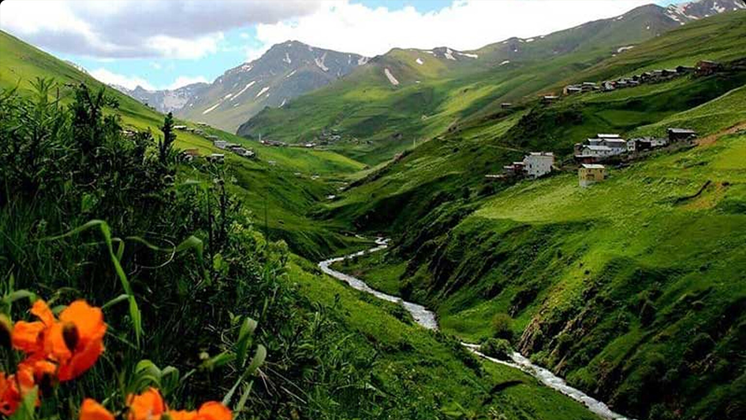 2025–2026 Anzer Balı Satışları Başladı | Anzerbali.com.tr