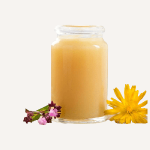 Saf Yerli Arı Sütü 10 gr, Anzer Balı Kooperatifi 2025 - 2026